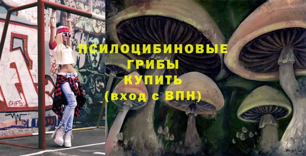 дурь Аркадак