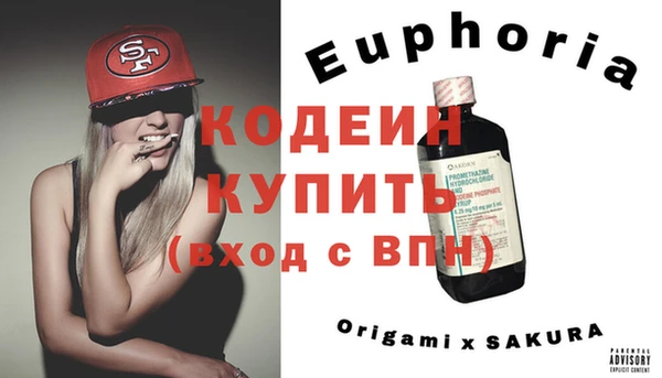 индика Армянск
