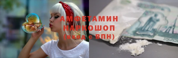 индика Армянск