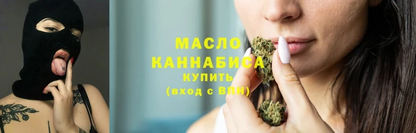 индика Армянск