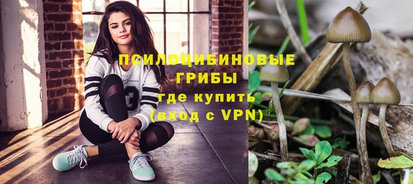 индика Армянск